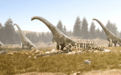 Museo Nomad se llena de dinosaurios