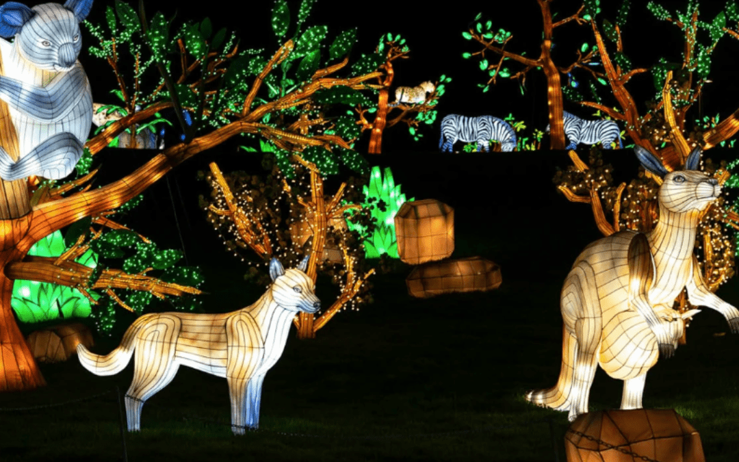 Brilla Zoo. Un plan de Navidad que ilumina la imaginación de los niños