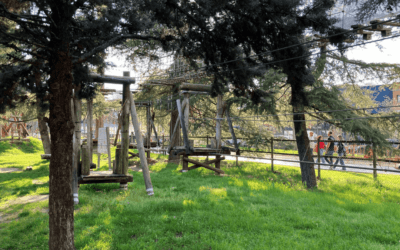 Multiaventura Park con niños: aventura en los árboles