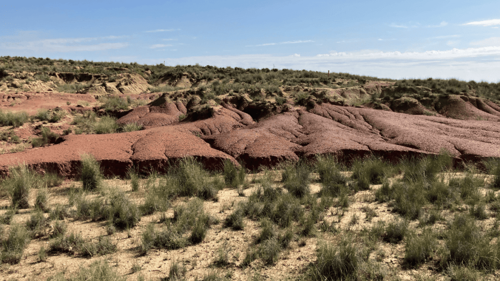 paisaje en las bárdenas reales