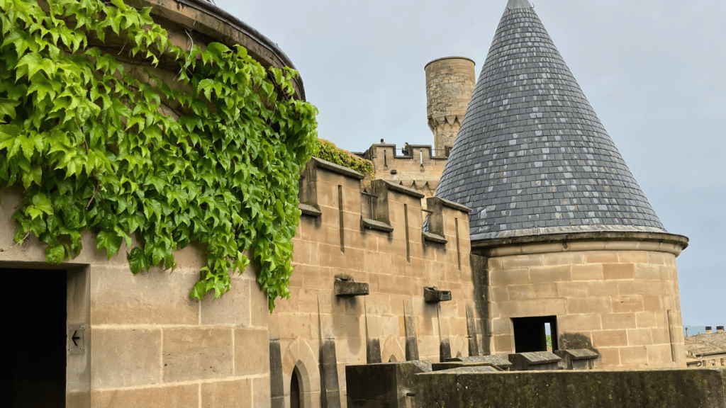 el castillo de olite
