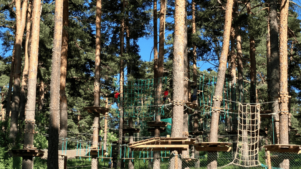 parque de multiaventura en los árboles