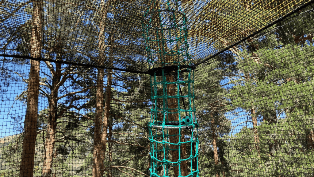 actividades con niños en la naturaleza