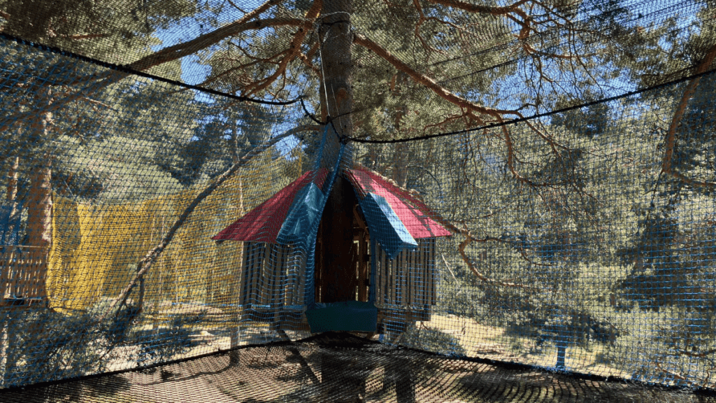 bosque yaku: planes de exterior en familia