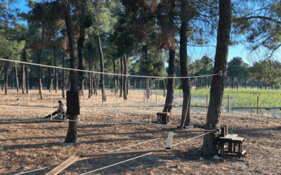 Multiaventura en Laguna del Oso: planes con niños divertidos
