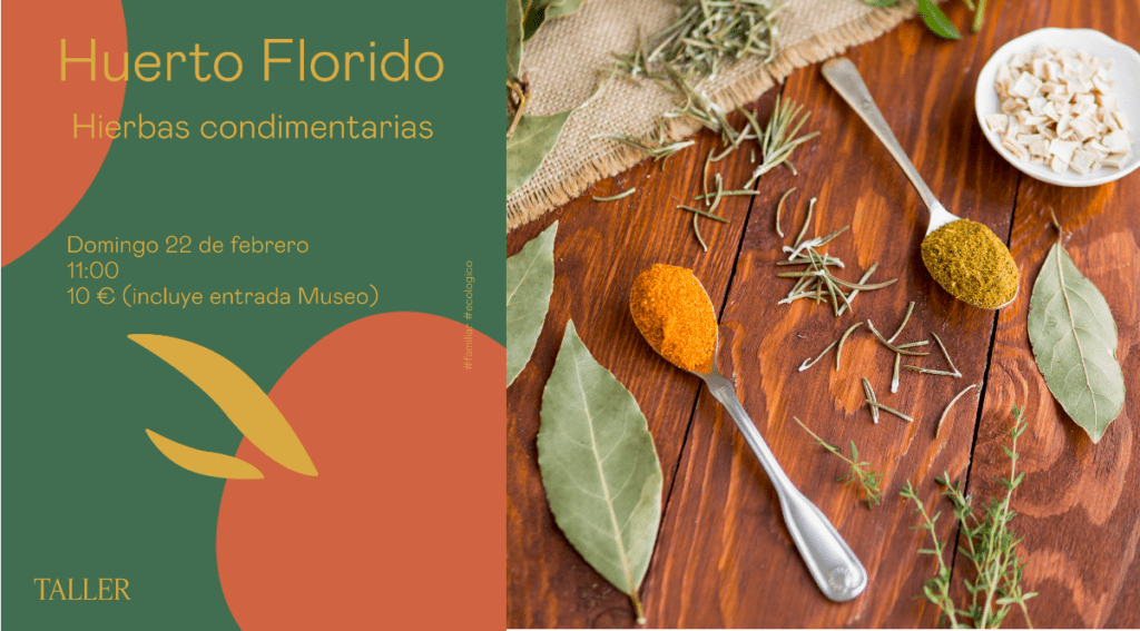 huerto en museo lázaro galdiano