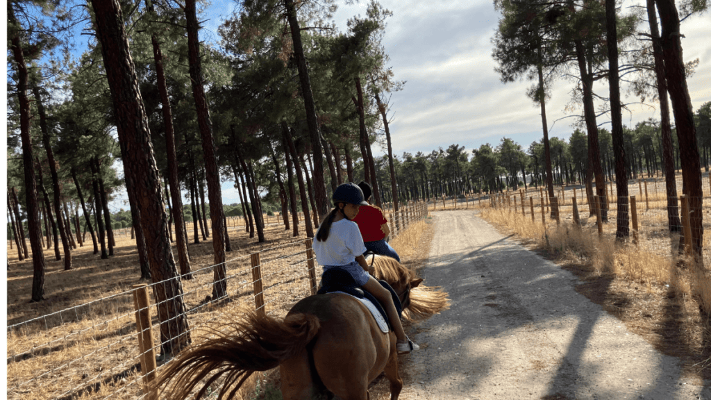 ruta a caballo por ávila