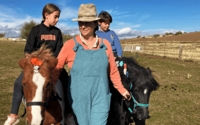 Plan al aire libre en familia: visitamos los Ponis de María