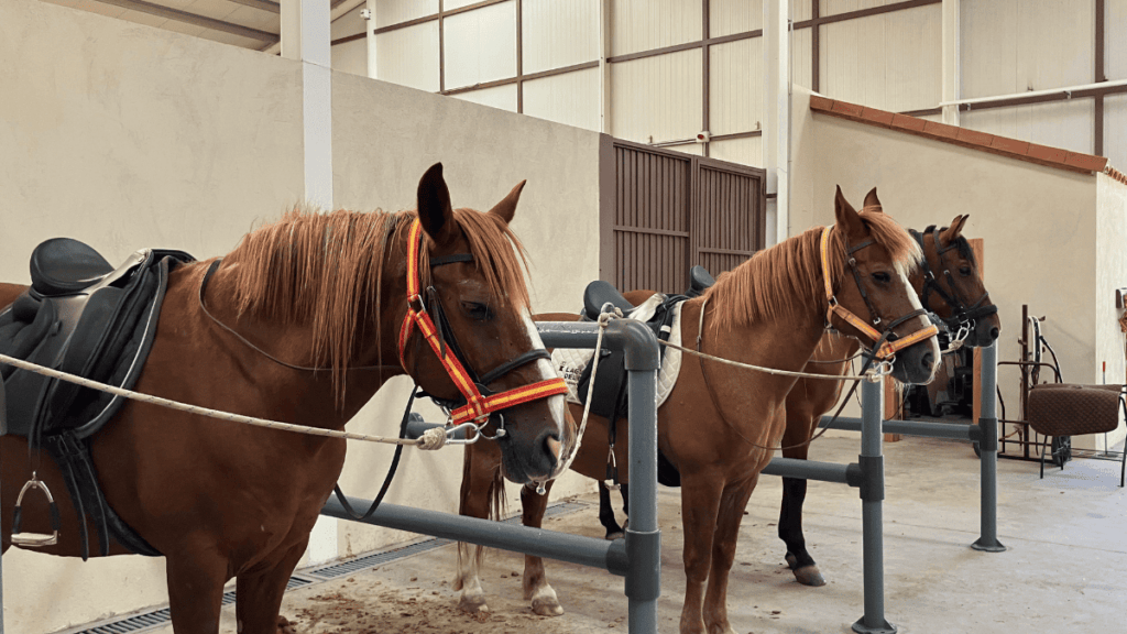 rutas a caballo en familia