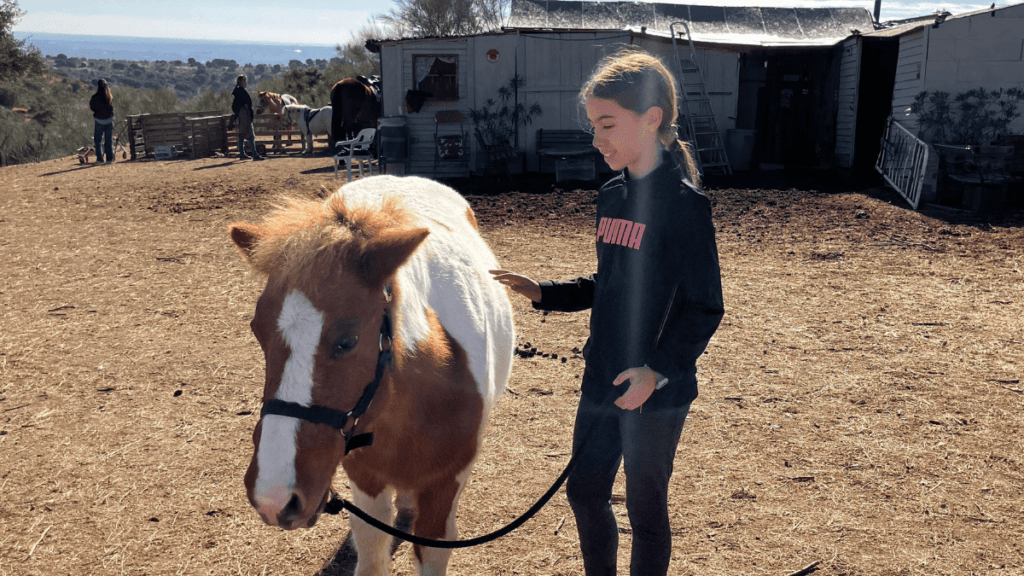 plan al aire libre: los ponis de maría