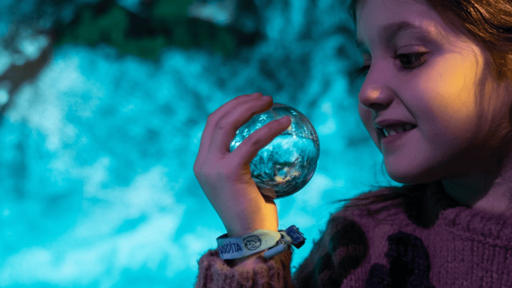 el plan de la navidad 2025