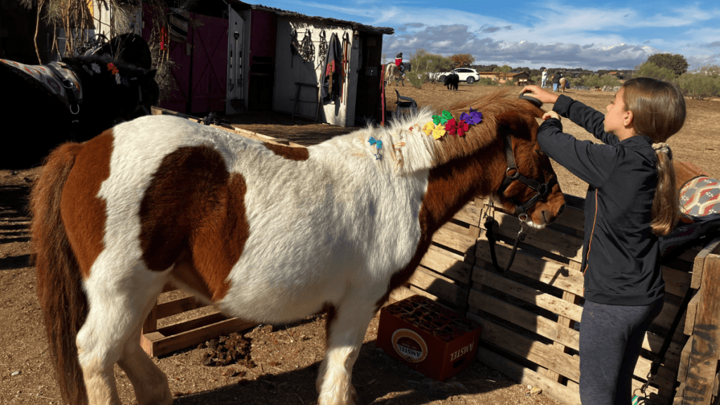 los ponis de maría : un plan en familia