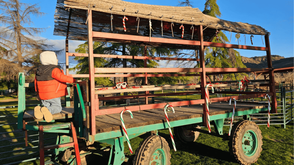 la navidad es la casita de navidad