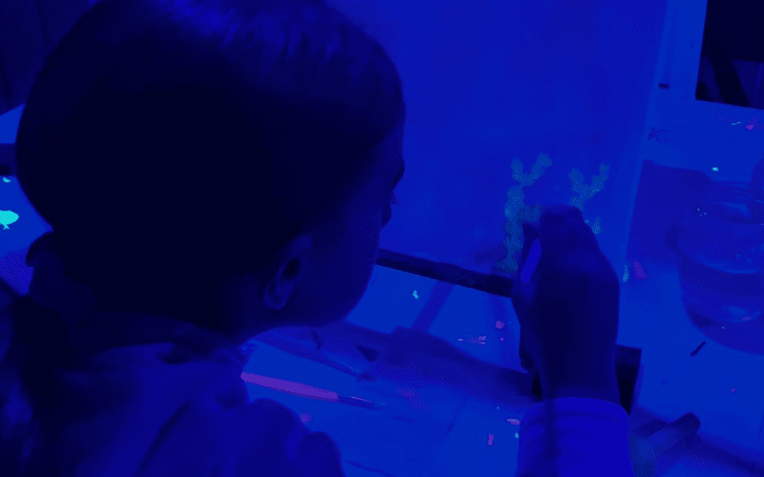 pinta luz: plan con niños