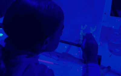 Pintar en familia bajo luces neón: así es Pinta luz, el plan creativo que conquista